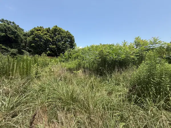 60 Lees Ford Ln, Winchester, TN 37398