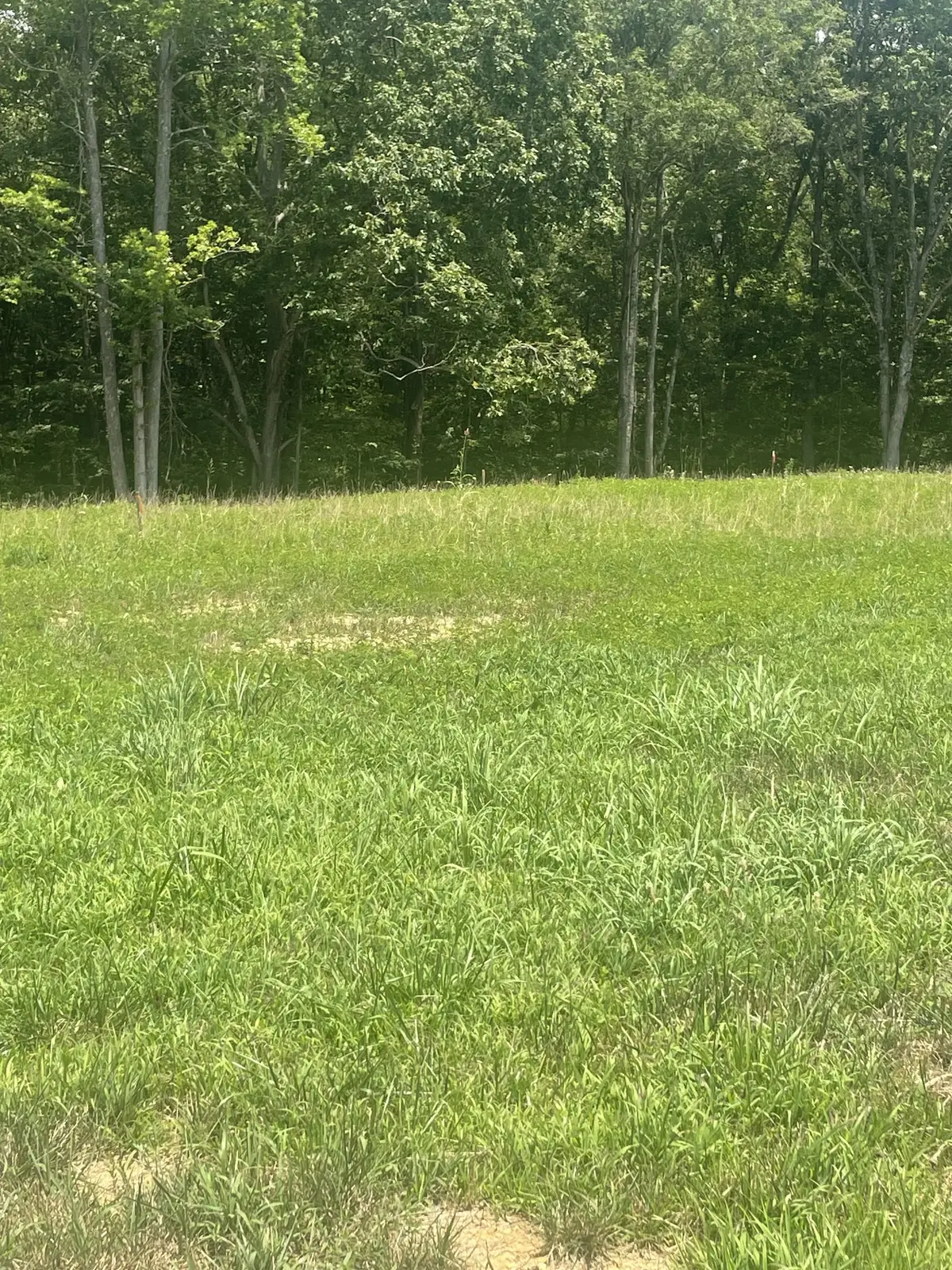 0 Summerlake Ct, Winchester, TN 37398 - Image #1