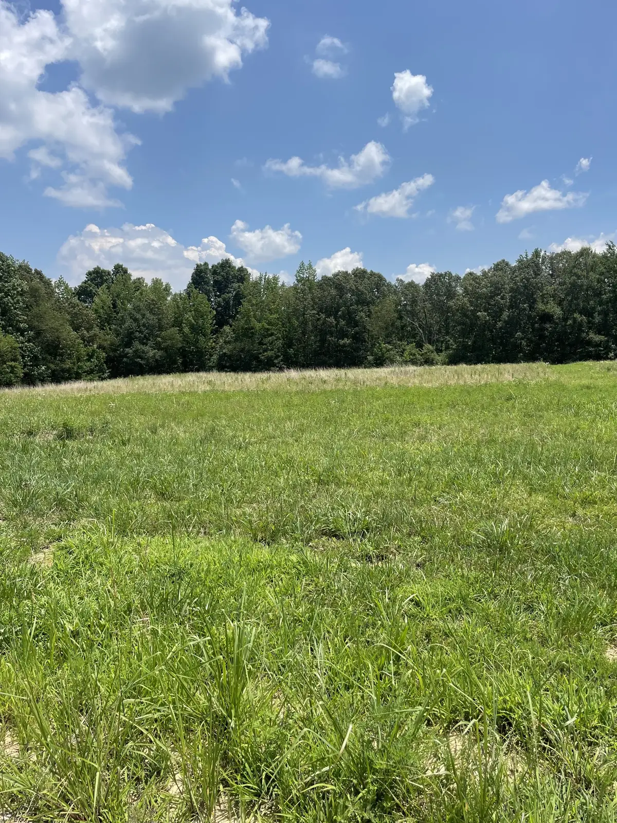 0 Summerlake Ct, Winchester, TN 37398 - Image #1