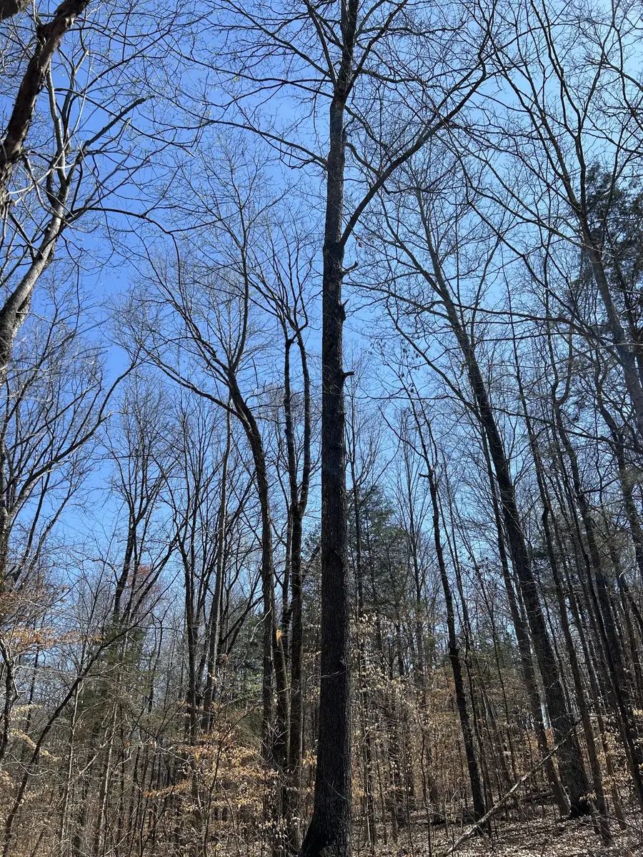 820 Lucas Rd, Dickson, TN 37055 - Image #2