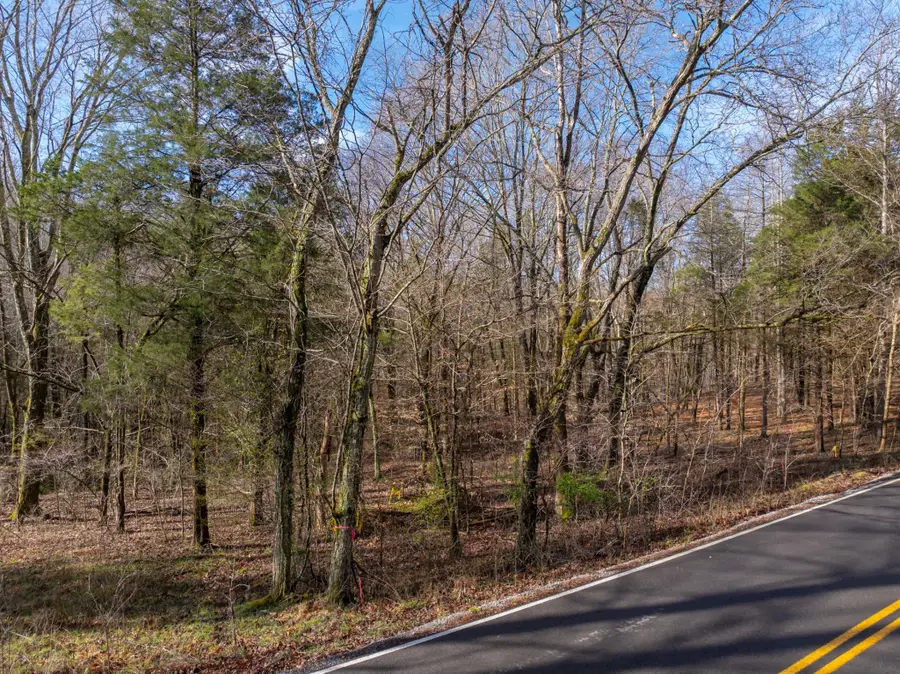 829 Furnace Hollow Road, Dickson, TN 37055 - Image #3