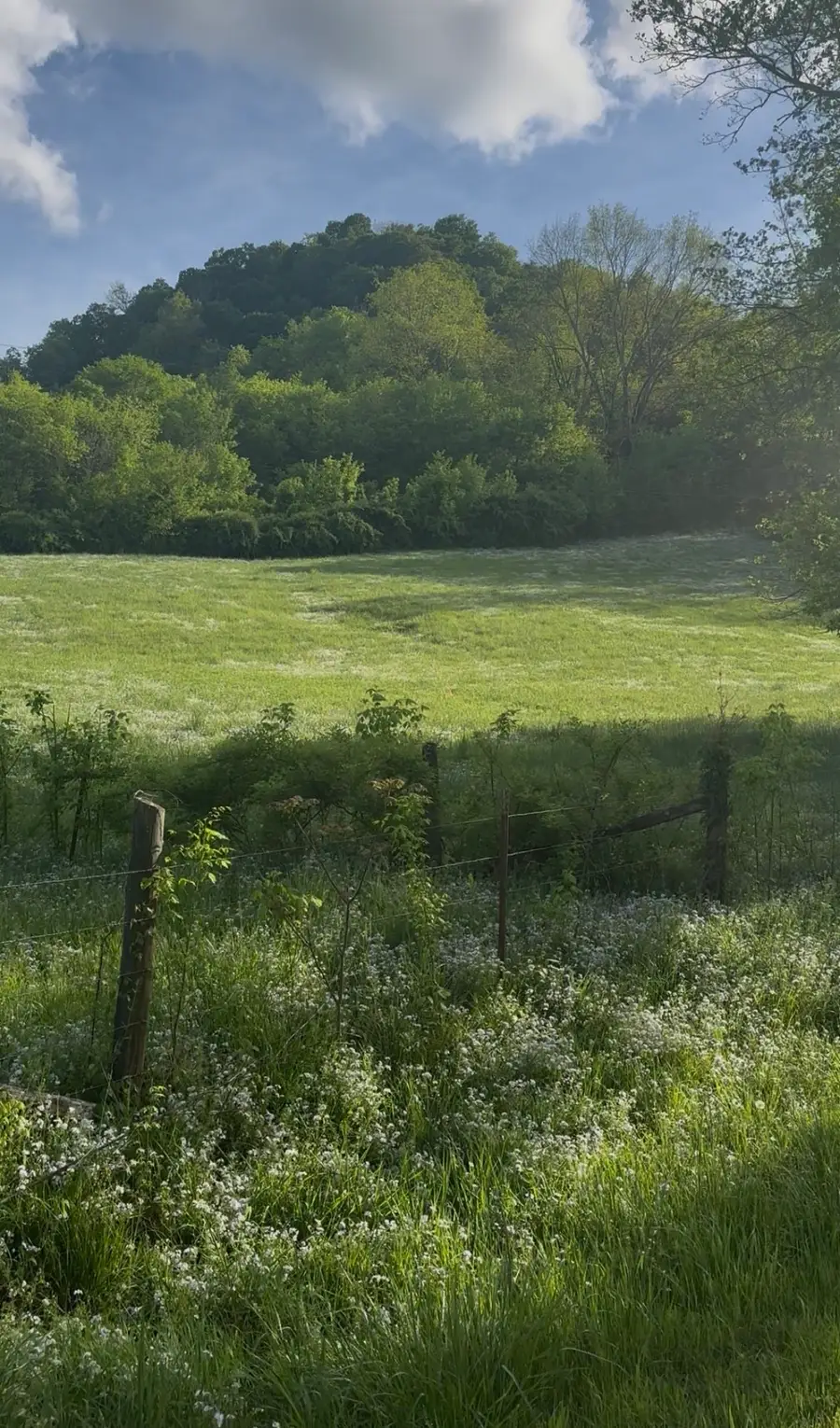 0 Little Salt Lick Road, Carthage, TN 37030 - Image #3