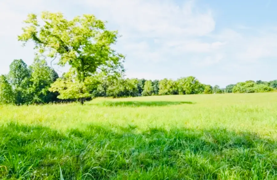 0 Whitson Rd, Bethpage, TN 37022 - Image #2