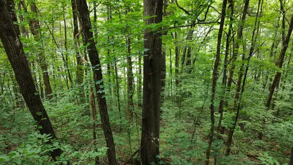 0 Lakeside Dr, Smithville, TN 37166