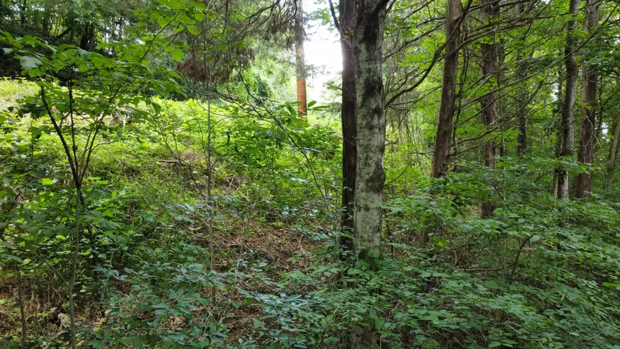 0 Lakeside Dr, Smithville, TN 37166 - #3