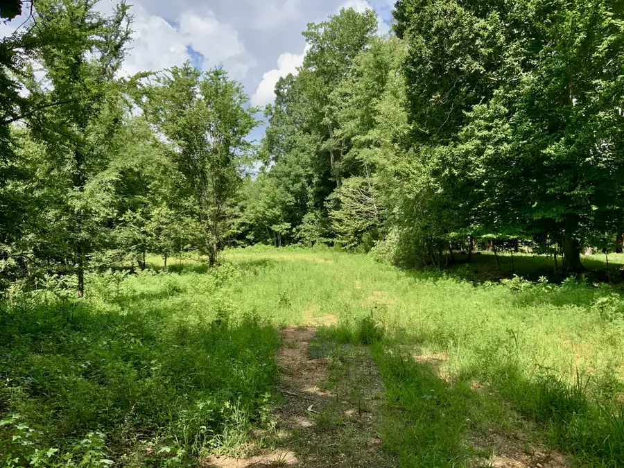 806 Pettijohn Creek Rd, Henry, TN 38231 - Image #2