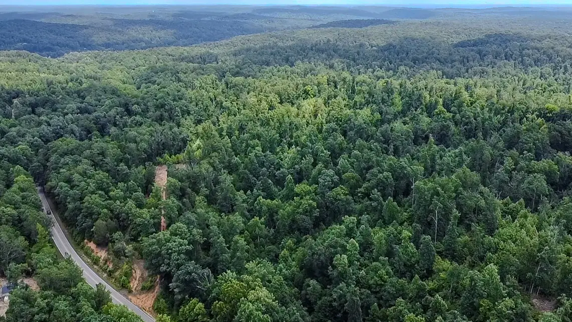 0 Buckfork Road, Linden, TN 37096 - Image #1