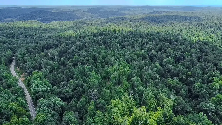 0 Buckfork Road, Linden, TN 37096 - Image #2