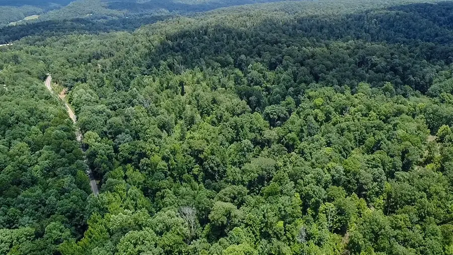 0 Buckfork Road, Linden, TN 37096 - Image #3