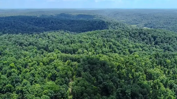 0 Buckfork Road, Linden, TN 37096