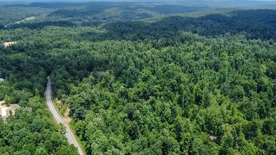 0 Buckfork Road, Linden, TN 37096 - Image #2