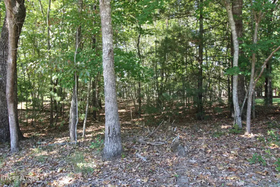 105 Wilbourn Drive, Crossville, TN 38558 - Image #2