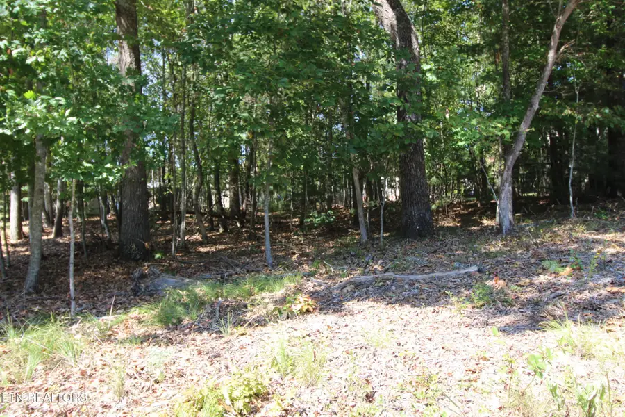 105 Wilbourn Drive, Crossville, TN 38558 - Image #3