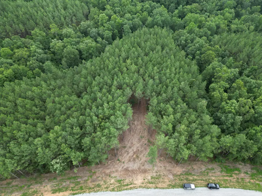 297 Ashwood Dr, Linden, TN 37096 - Image #3