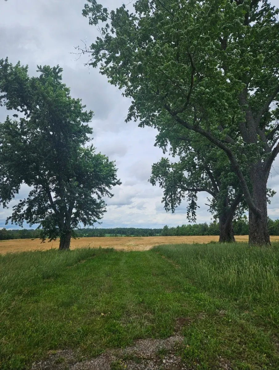 0 Jacksboro Trail, Morrison, TN 37357 - #1