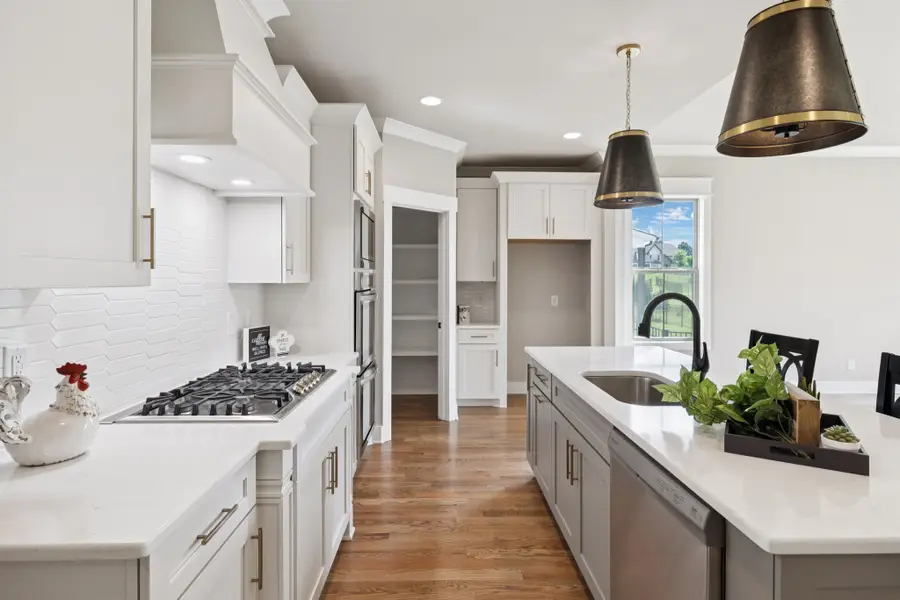 1022 Gadwall Ln, Spring Hill, TN 37174 - #2