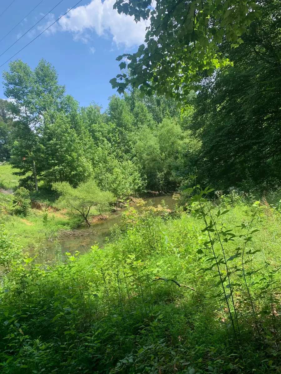 0 Smith Chapel Dr, Shelbyville, TN 37160 - Image #3