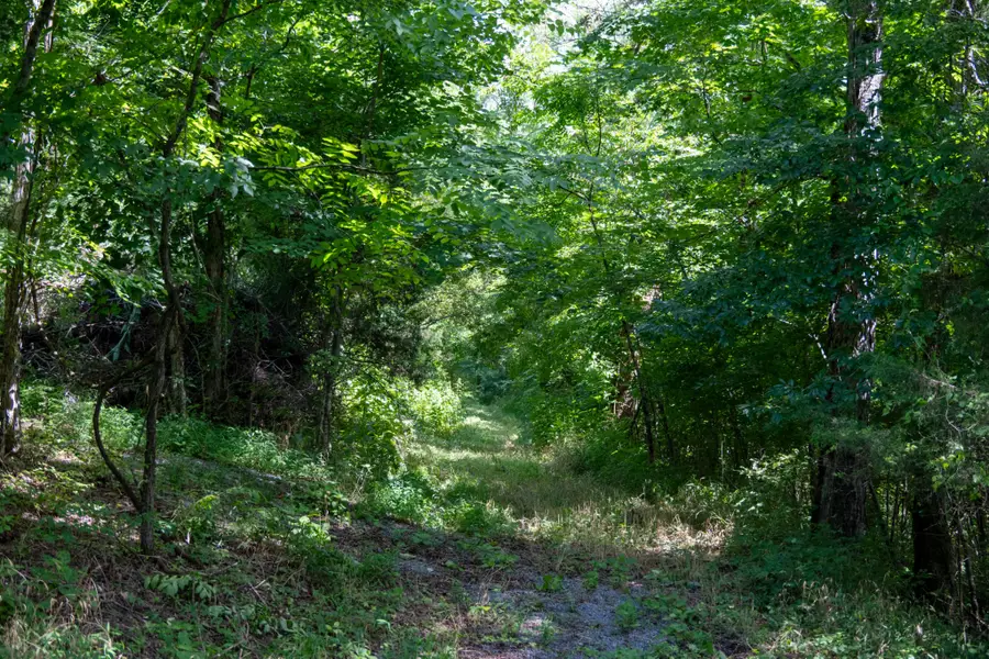 0 Hopkins Hollow, Gainesboro, TN 38562 - Image #3