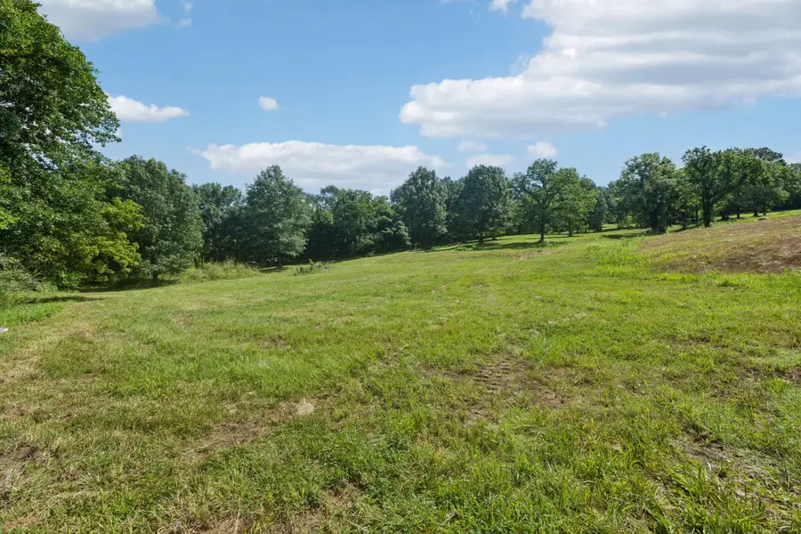 6456 Arno College Grove Rd, College Grove, TN 37046 - Image #3