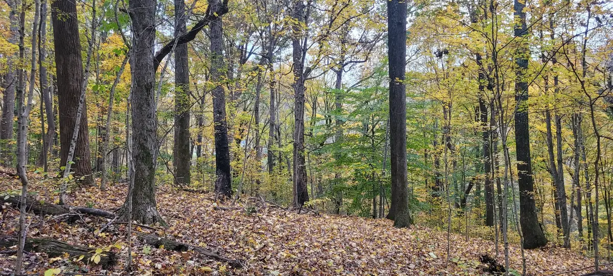 1 Sugar Ridge Rd, Spring Hill, TN 37174 - #1