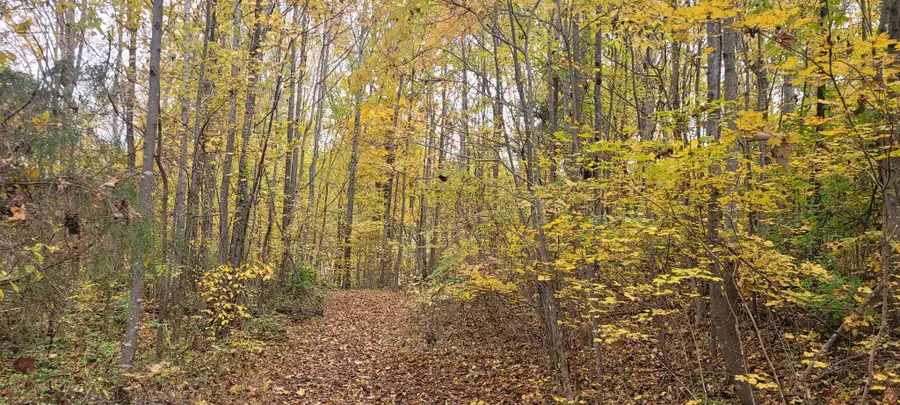 1 Sugar Ridge Rd, Spring Hill, TN 37174 - #2