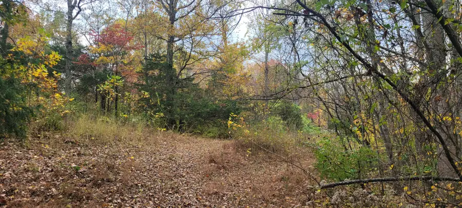 1 Sugar Ridge Rd, Spring Hill, TN 37174 - #3