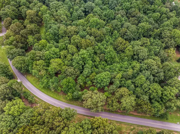 0 Iron Hill, Burns, TN 37029