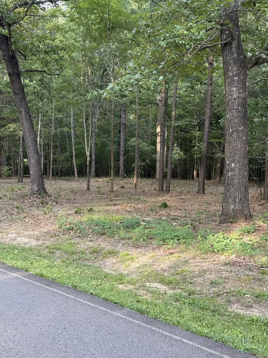 0 Iron Hill, Burns, TN 37029 - Image #2