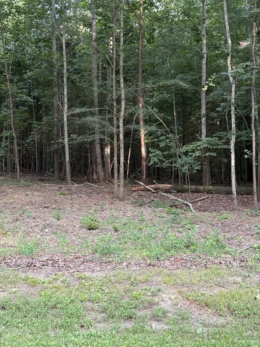 0 Iron Hill Rd, Burns, TN 37029 - Image #2