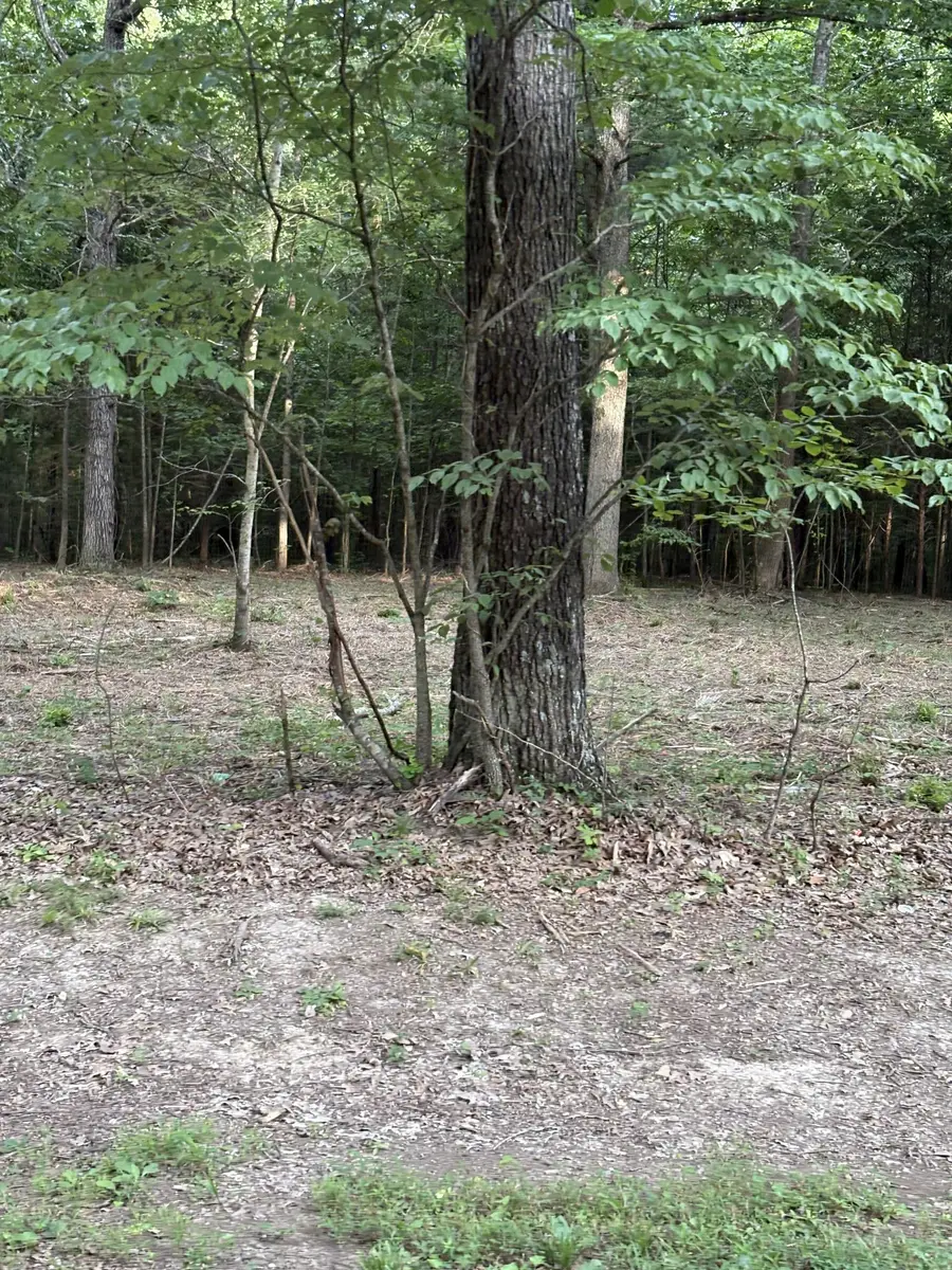 0 Iron Hill Rd, Burns, TN 37029 - Image #3