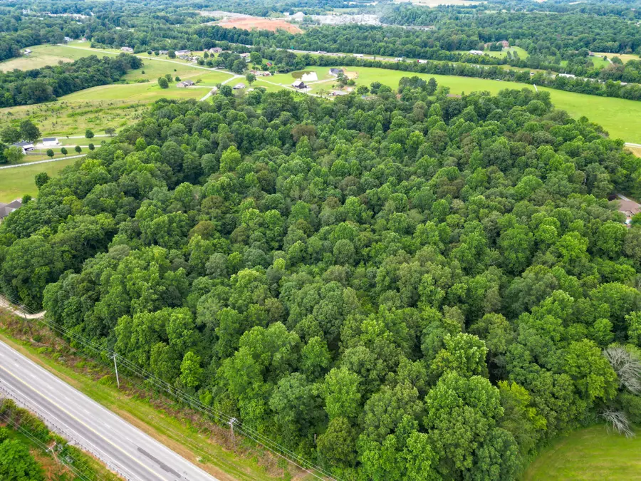 6150 Highway 41a, Pleasant View, TN 37146 - #3
