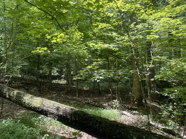 1535 Mount Olivet Rd, Hendersonville, TN 37075