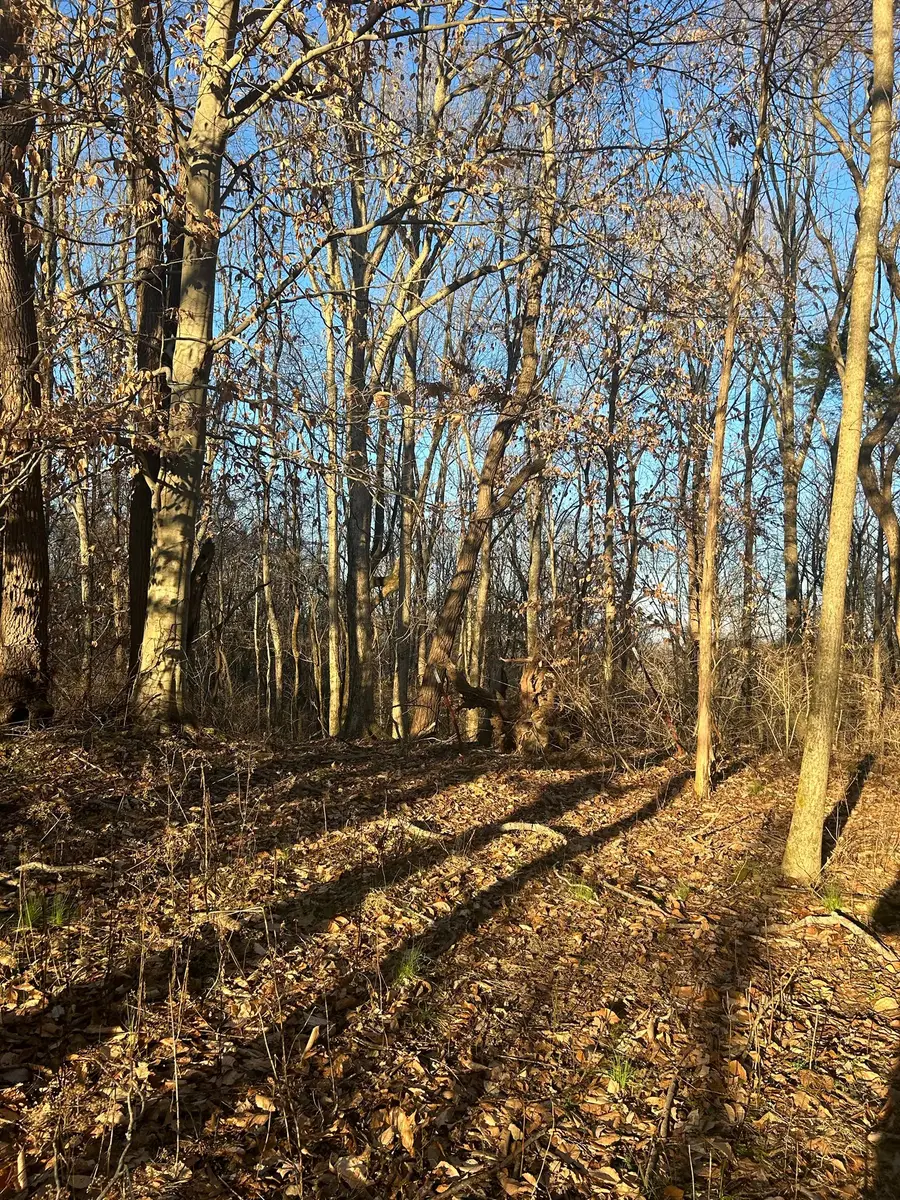 0 Tom Sharp Rd, Columbia, TN 38401 - #3