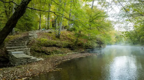 170 Warriors Path Ridge Rd, Summertown, TN 38483