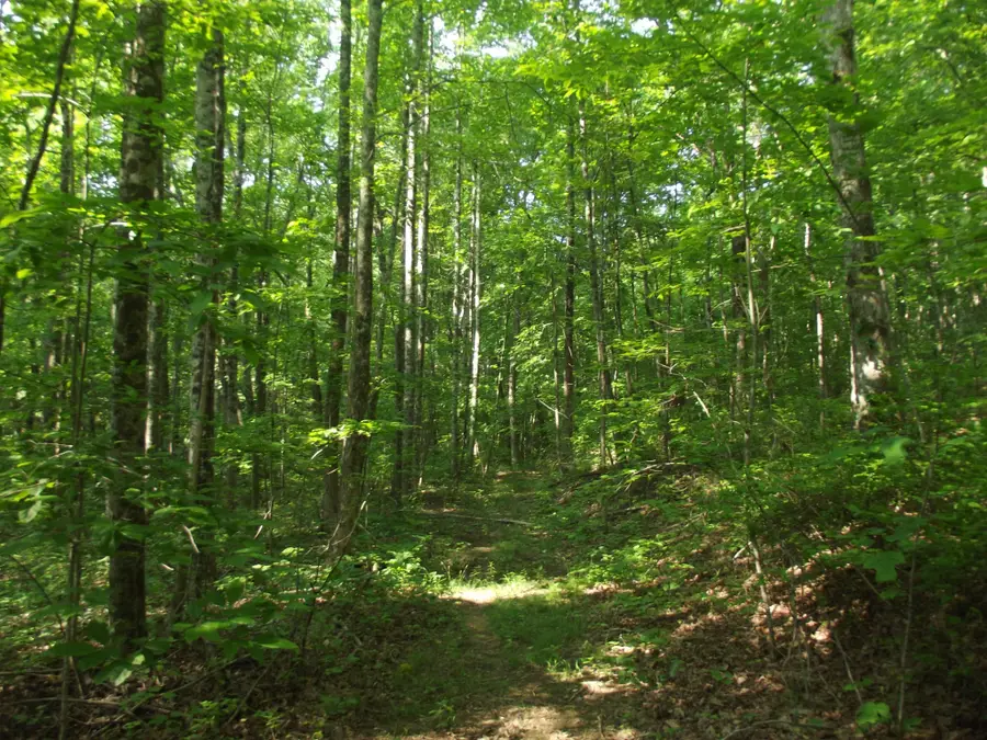 0 Old Altamont Rd, Tracy City, TN 37387 - Image #2