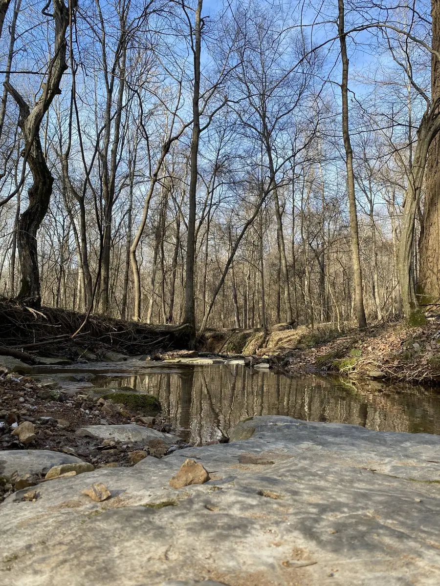 4434 Memory Ln, Adams, TN 37010 - #3