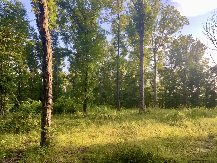 0 Wildlife Road, Dover, TN 37058 - Image #2