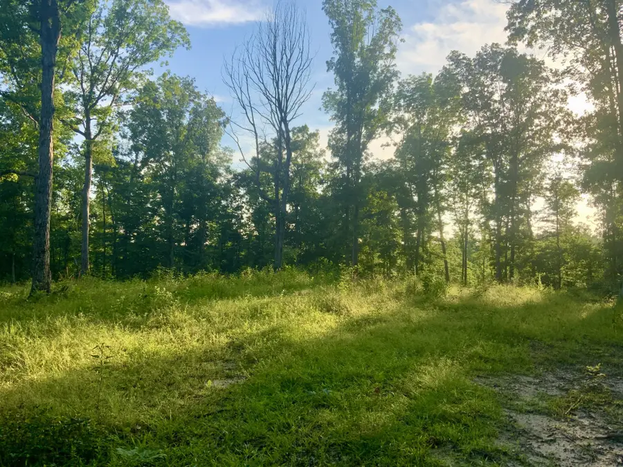 0 Wildlife Road, Dover, TN 37058 - Image #3