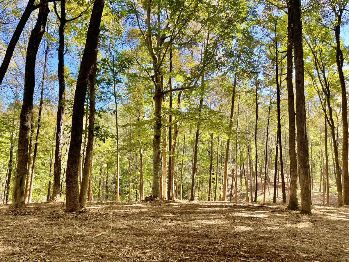 0 Harper, Clarksville, TN 37043 - #1