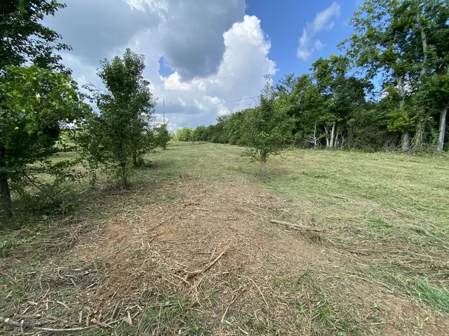 2951 Roy Mccollum Rd, Lewisburg, TN 37091 - Image #3