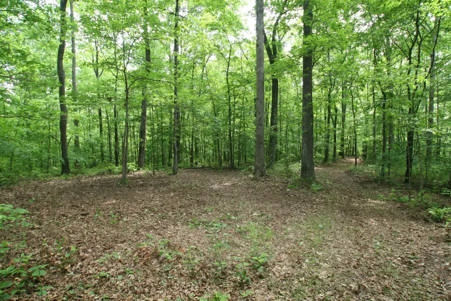 5671 Pinewood Rd, Franklin, TN 37064 - #2