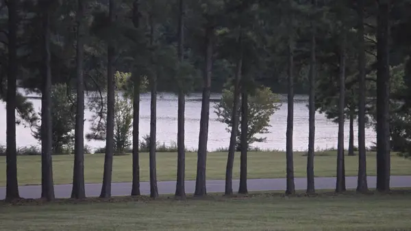 0 Dry Fork Drive, Winchester, TN 37398