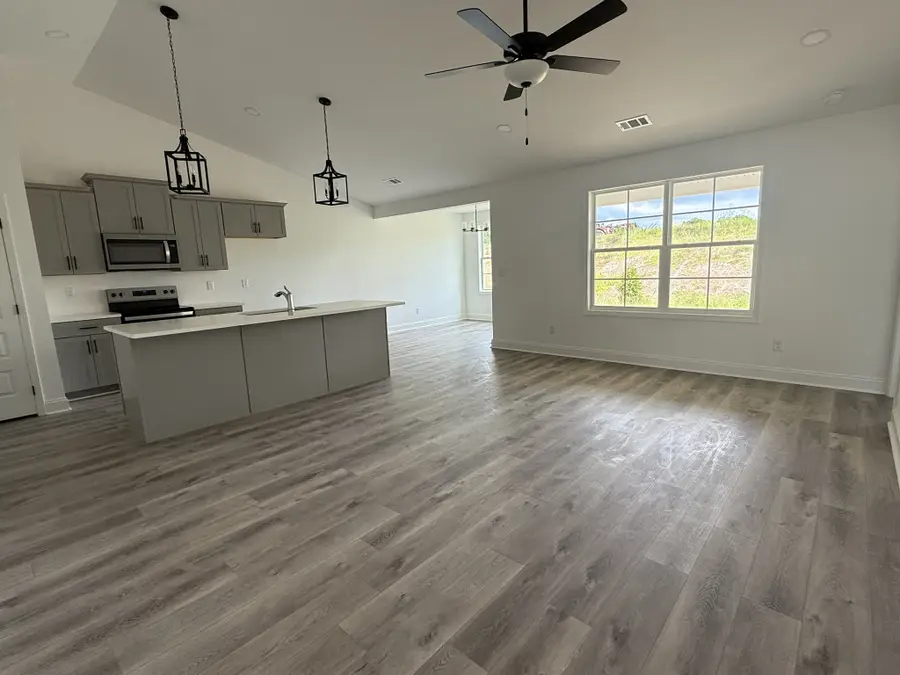 1166 Addler Dr, Springfield, TN 37172 - Image #3