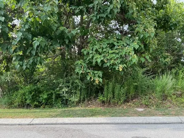 21182112 Short Leaf Lane, Soddy Daisy, TN 37379 - #2