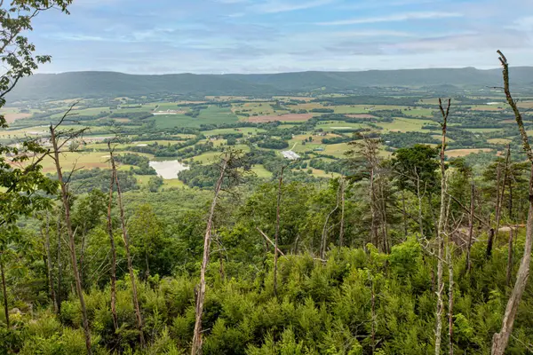 26 Gray Rock Vw, Pikeville, TN 37367