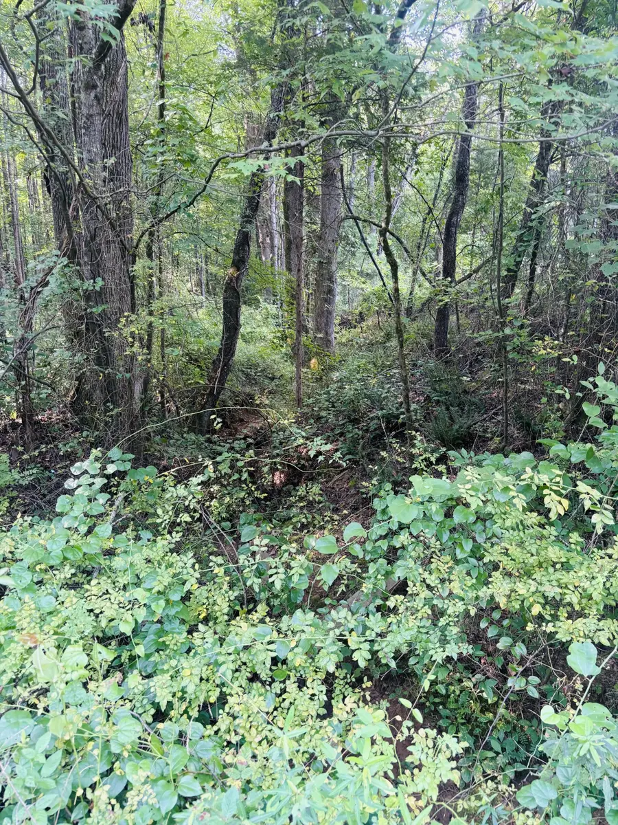 0 Old Lula Road, Reagan, TN 38368 - #2