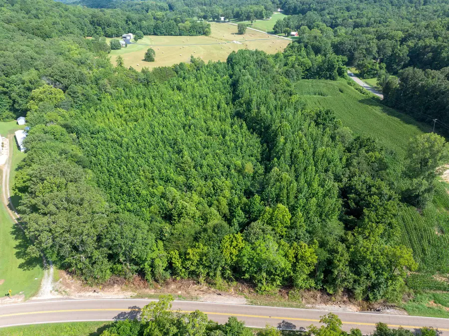 0 Highway 100 E, Decaturville, TN 38329 - #3