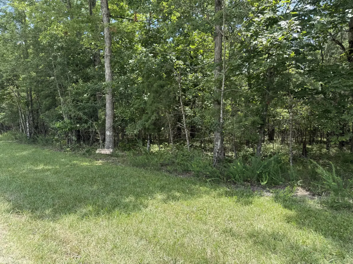 0 Long Branch Rd, Spencer, TN 38585 - Image #1