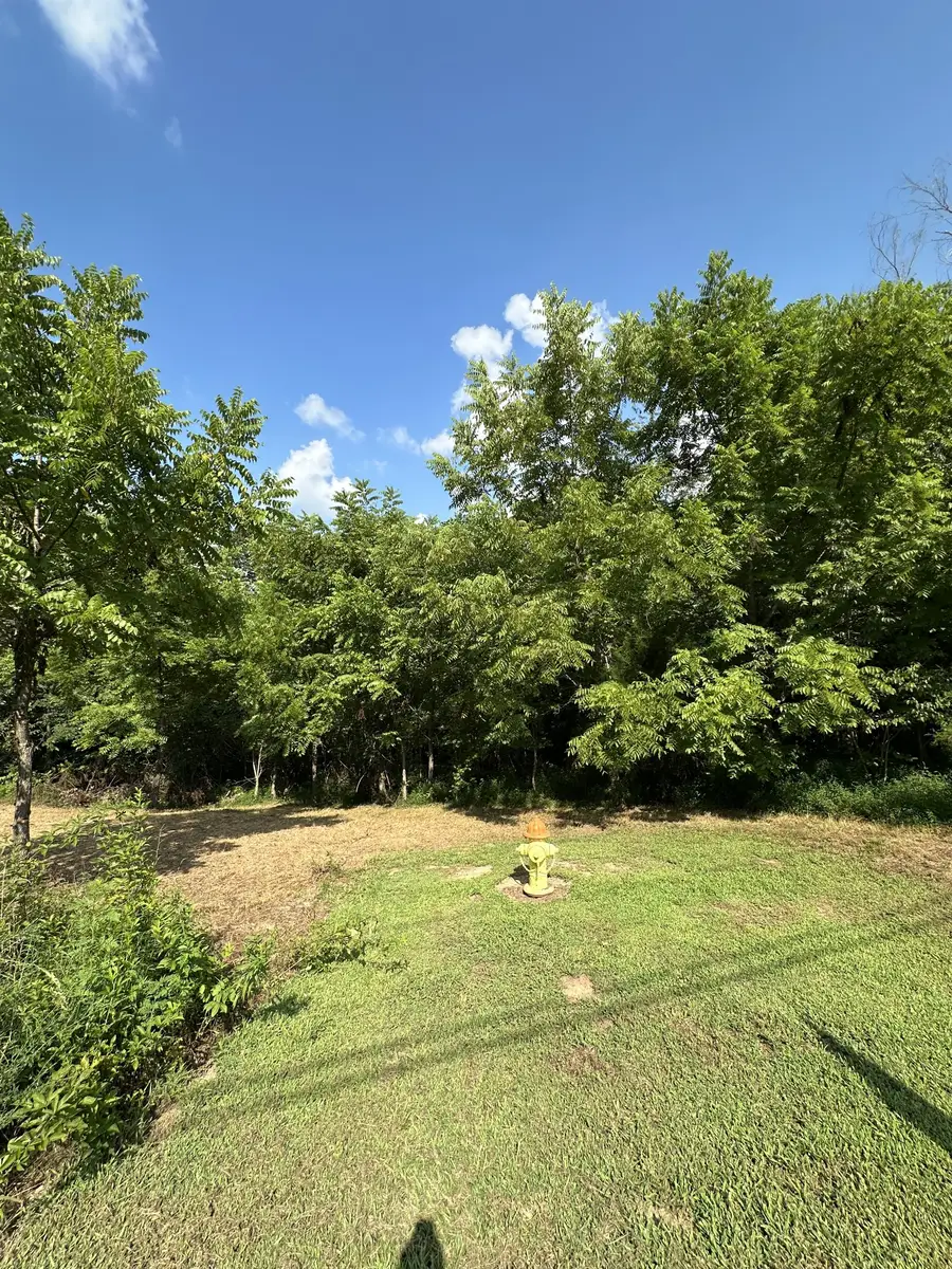 0 Rustling Oaks Ct, Pleasant View, TN 37146 - #2