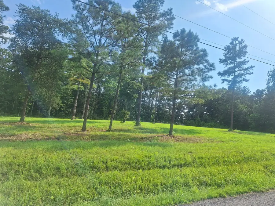 112 Rush Branch Rd, Hohenwald, TN 38462 - Image #3